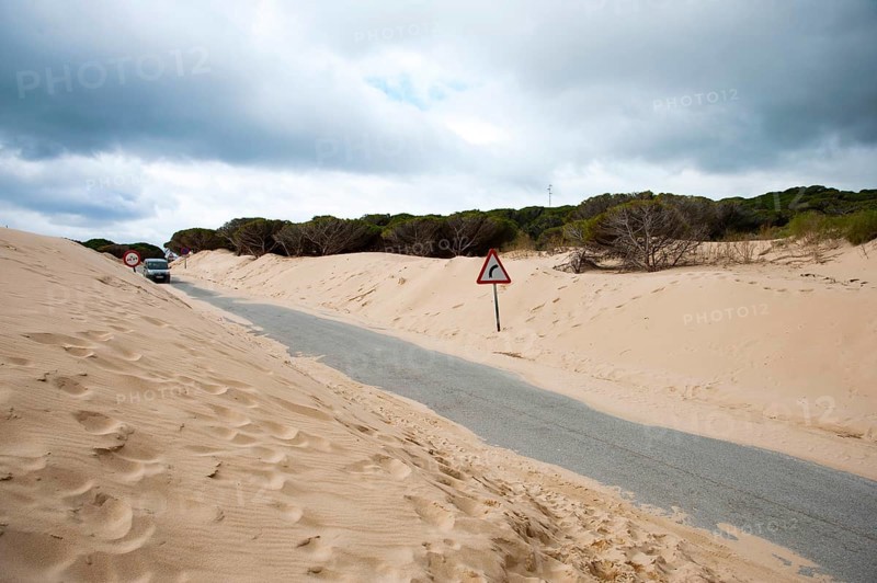 Wandering dune of Bolonia