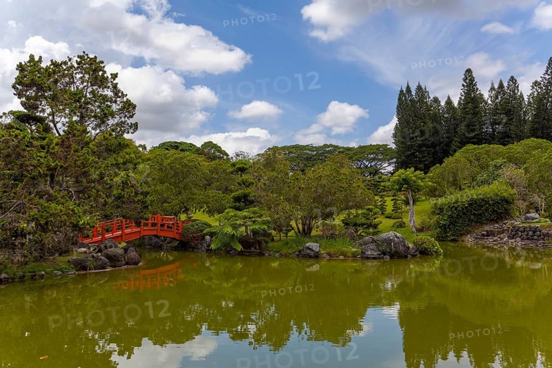 Lake in the Japanese Garden at the Jardin Botanico National Dr. Rafael Maria Moscoso