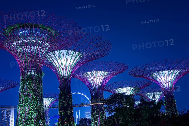 Supertrees