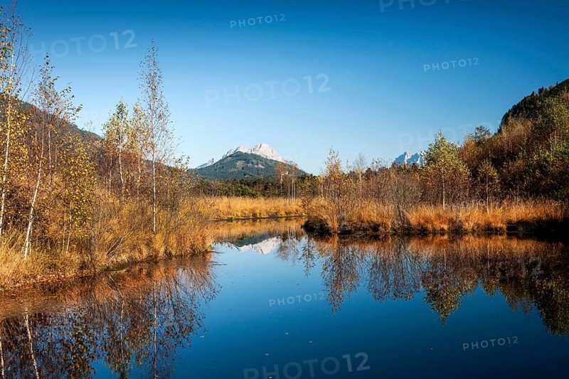 Libellenteich pond in autumn