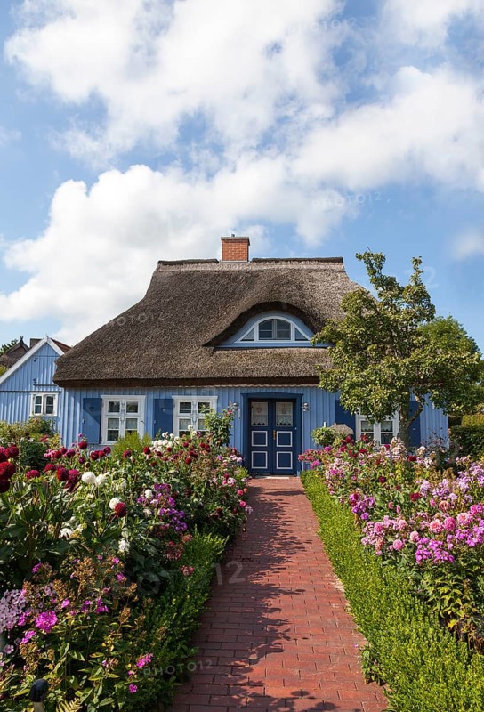Thatched wooden house