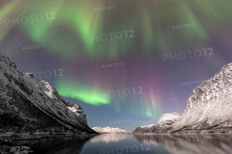 Aurora over the Grotfjord