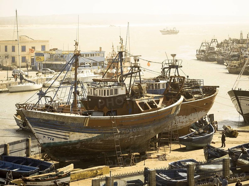Fishing boats in the yard