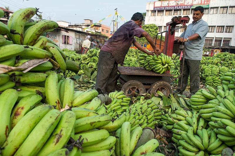 Banana sellers and workers weighing bananas on Broadway Market