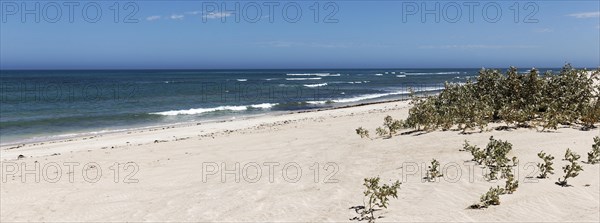 Sandy beach