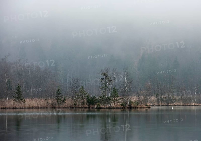 Foggy atmosphere on Almsee lake