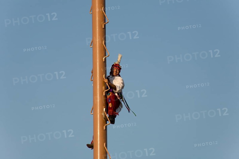 Volador climbed the palo volador mast