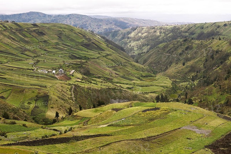 Fields in the mountains