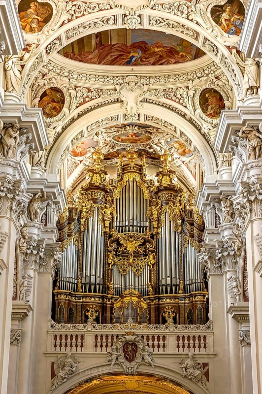 Organ