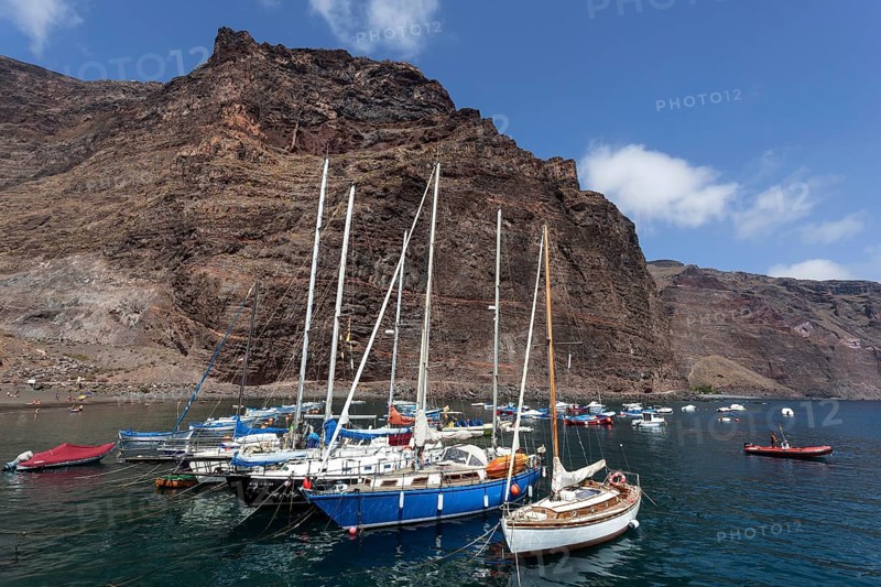 Fishing boats in the harbour