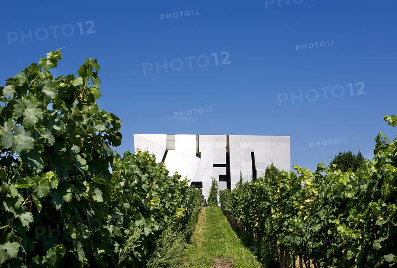 Loisium Wine Experience and vineyard