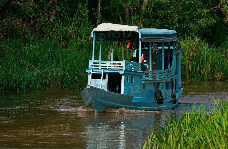 Tourist boat in Tanjung Puting National Park