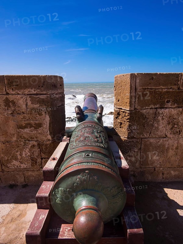 Cannon on fortification