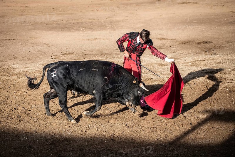 Bullfighter performing a ""Veronica""