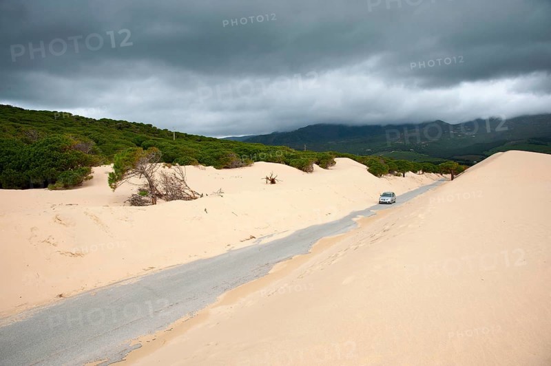 Wandering dune of Bolonia