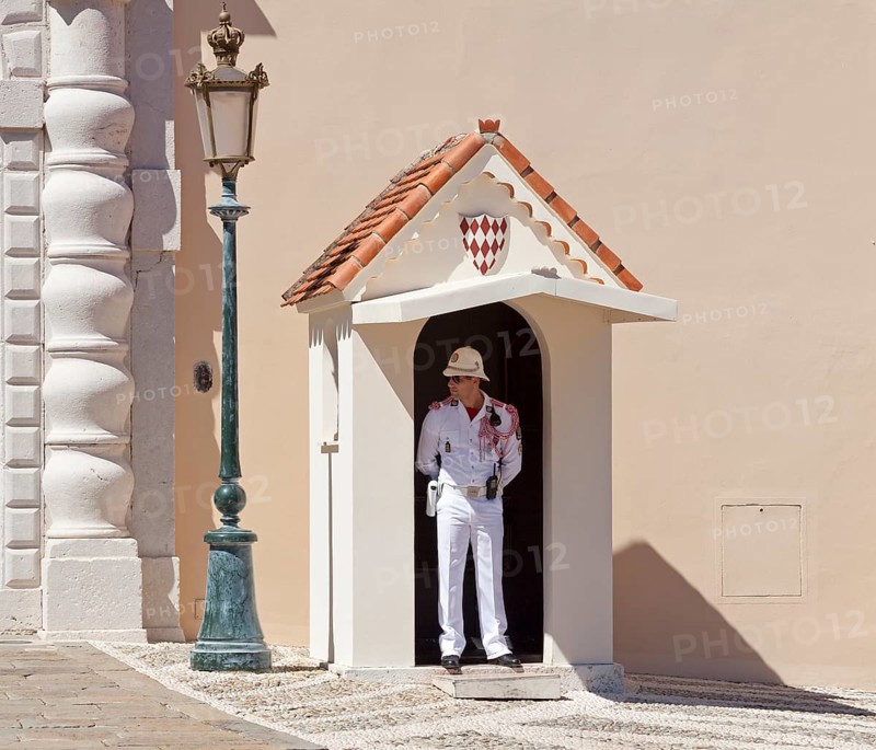 Palace Guard