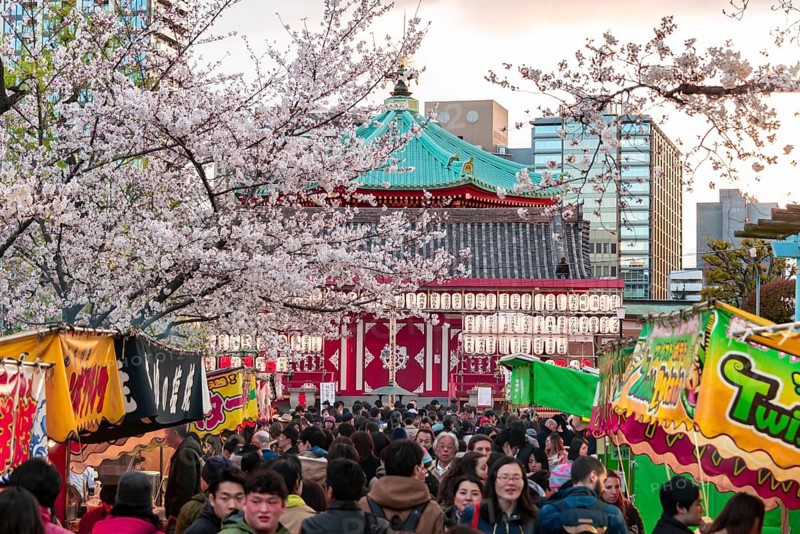 Crowd at Shinobazunoike Bentendo Temple at Hanami Fest