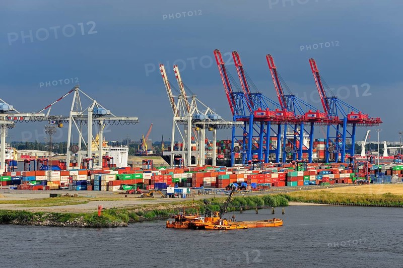 Gantry cranes for container terminal Tollerort