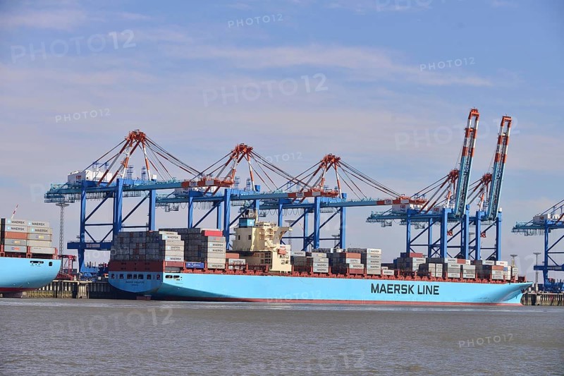 Container ship and gantry cranes