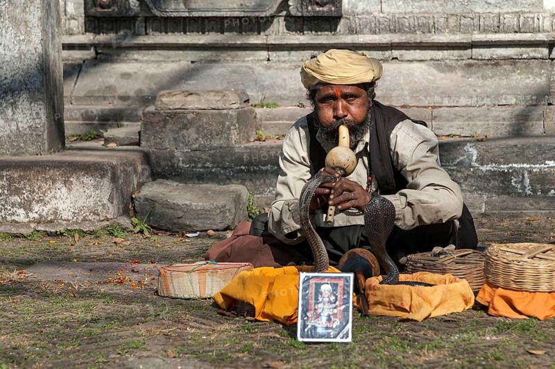 Snake charmer