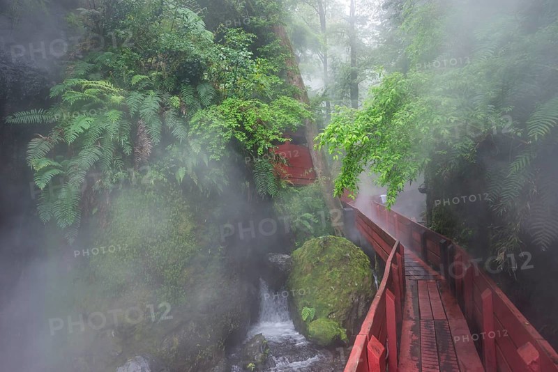 Steaming hot springs in the gorge of the Termas Geometricas