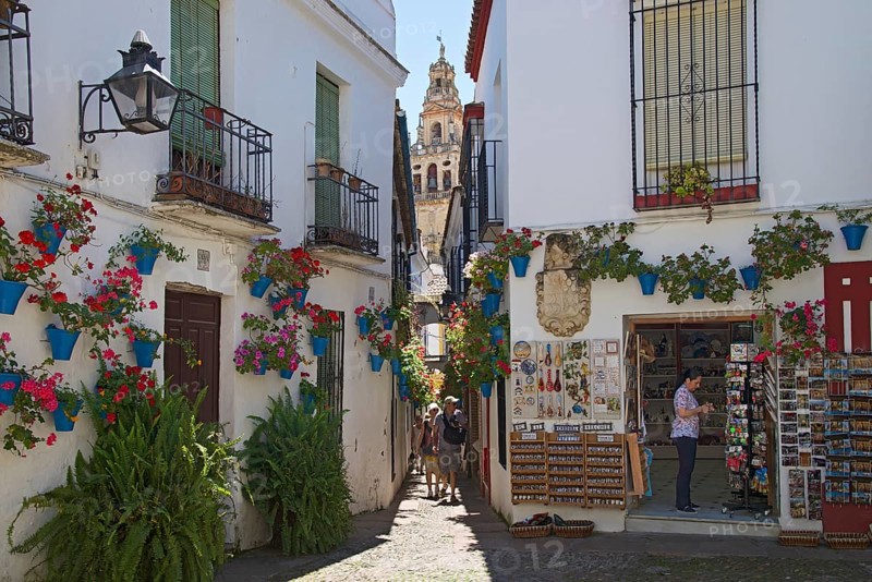 Calle de las Flores with flowers