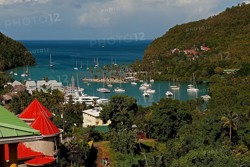 Boats in the harbour