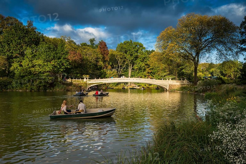 Rowing Boats on The Lake