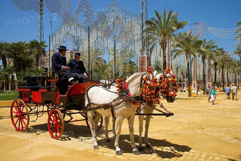 Coach at the Feria del Caballo