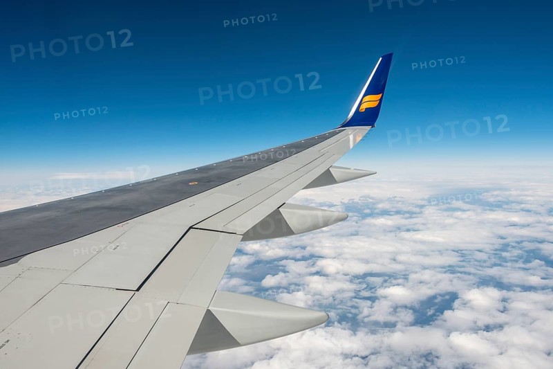 Wing
