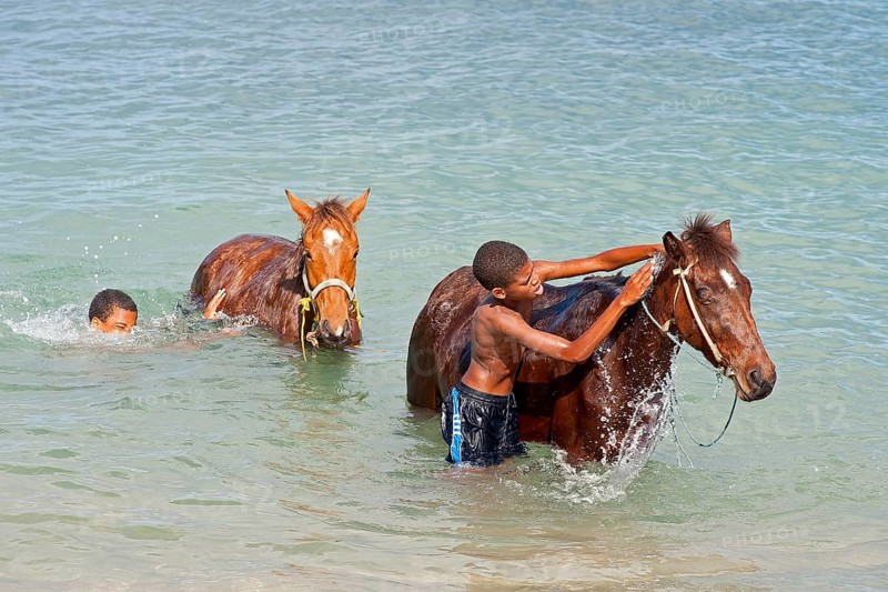 Two boys bathing horses