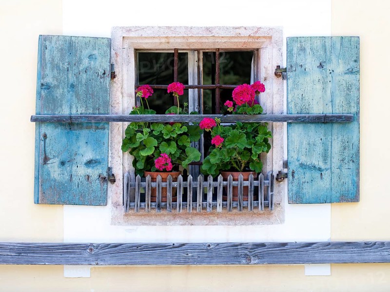 Window with geraniums