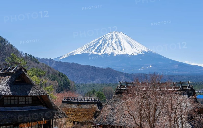 View on volcano Mt. Fuji