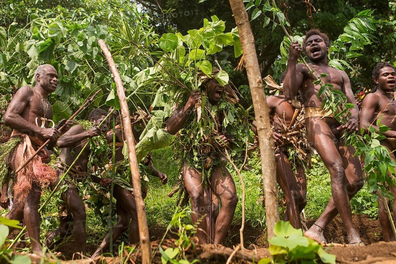 Men of the Sa people dancing at the Land diving ceremony