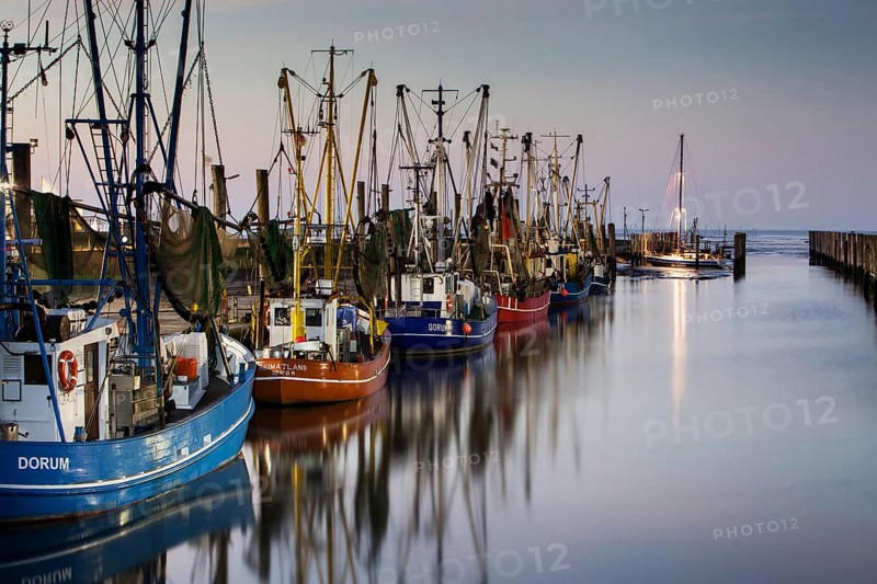 Boats in the harbour