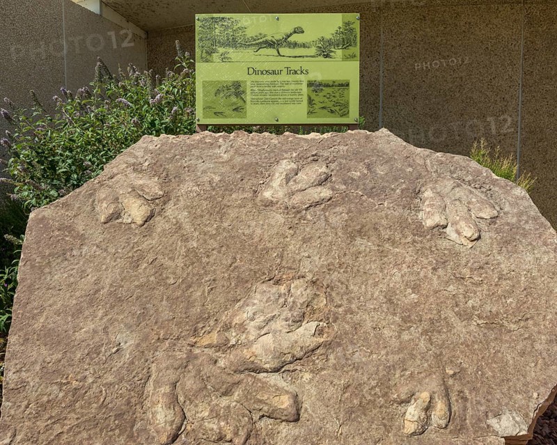 Fossilized dinosaur tracks in front of the Carl Hayden Visitor Center
