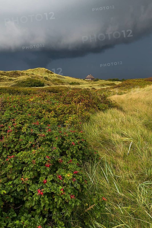 Dramatic storm clouds over dunes