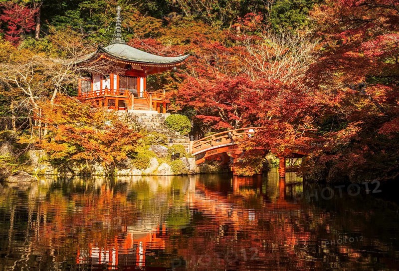 Bentendo Hall between red autumn leaves