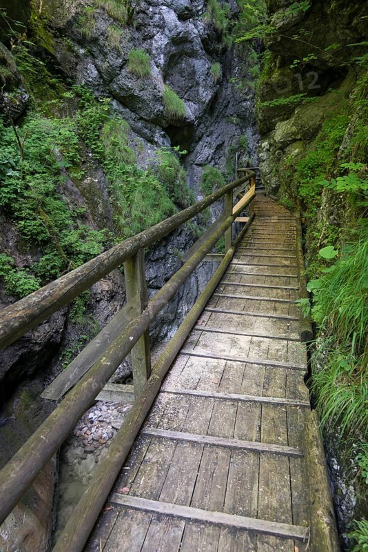 Wooden boardwalk in the Nothklamm gorge