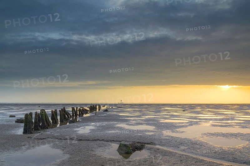 Groynes
