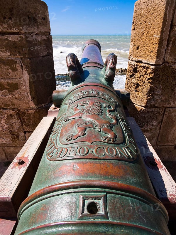 Cannon on fortification