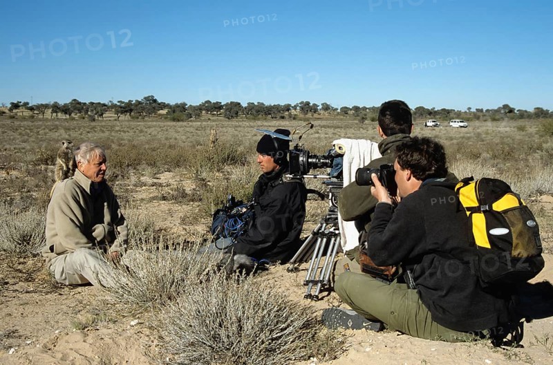 Sir David Attenborough with meerkat on shoulder being filmed for BBC series Life of Mammals