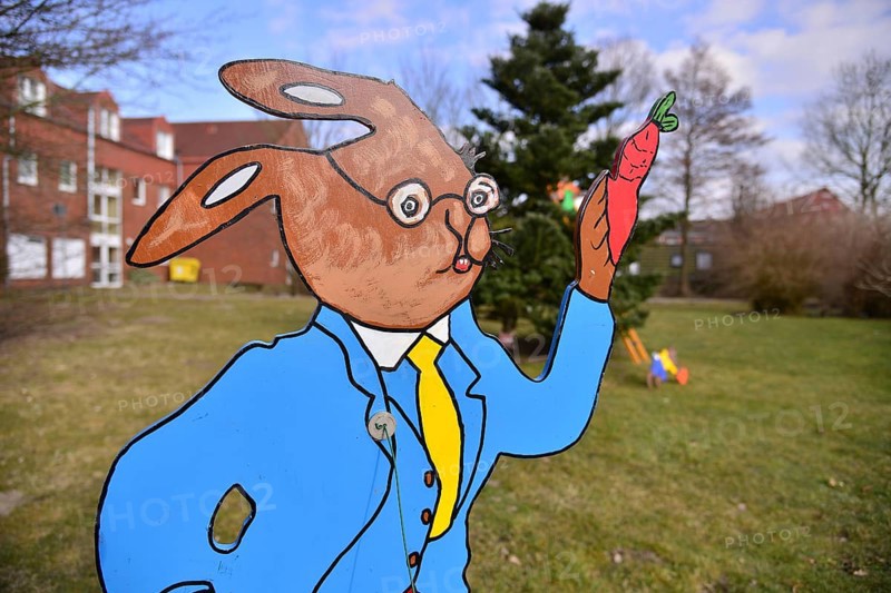 Bunny school