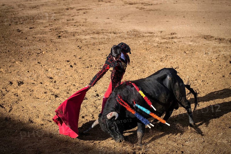 Bullfighter