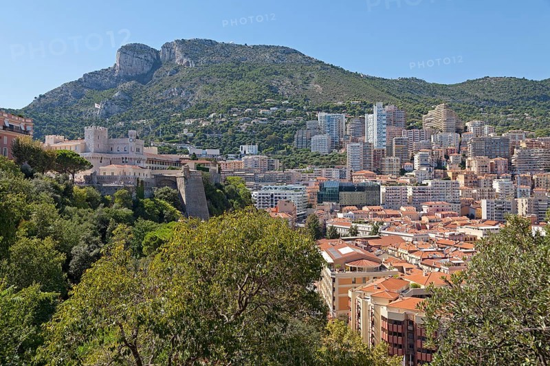 Rector's Palace and city