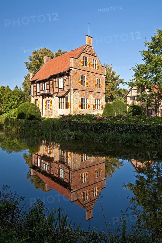 House Bisping