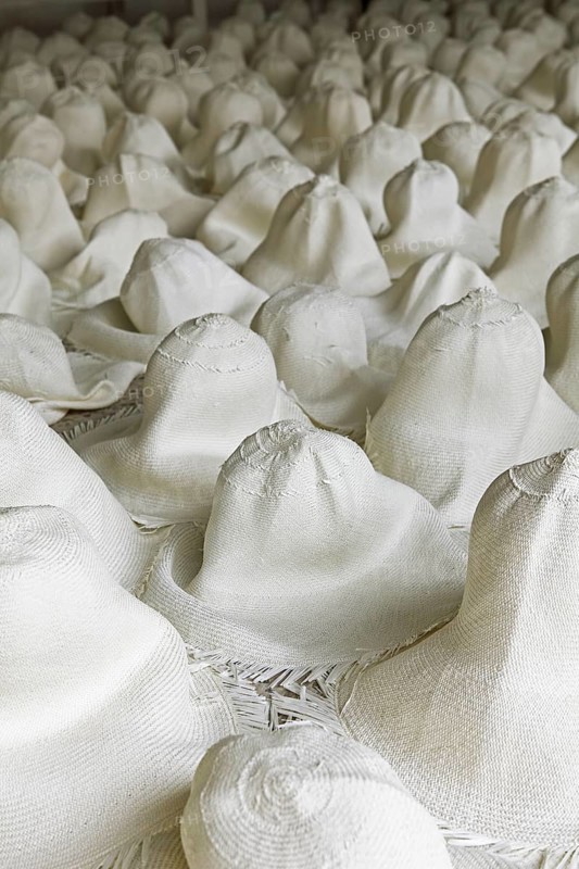 Moulded blank Panama hats are left to dry out