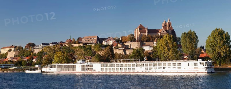 View over the Rhine to Munsterberg with St. Stephen's Cathedral