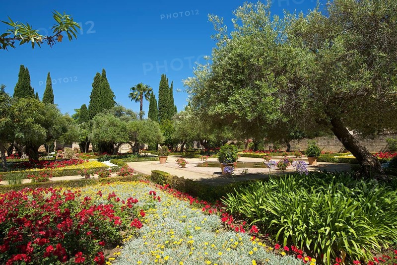 Gardens in the Alcazar de Jerez