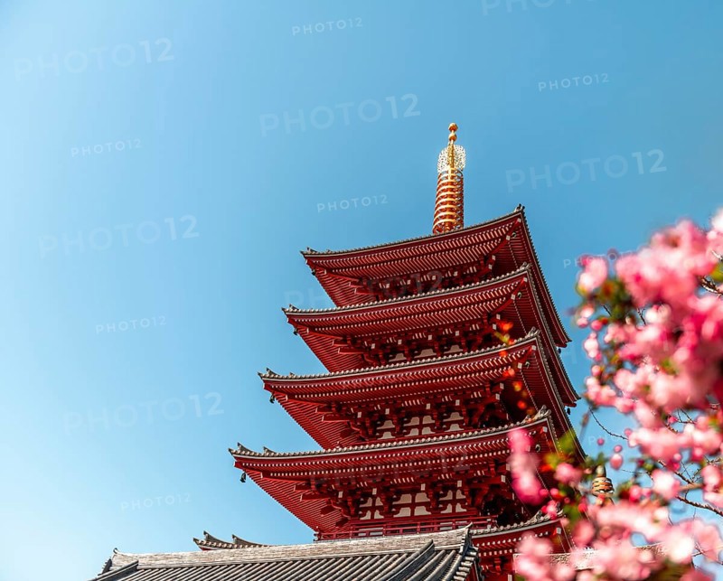 Five-story pagoda